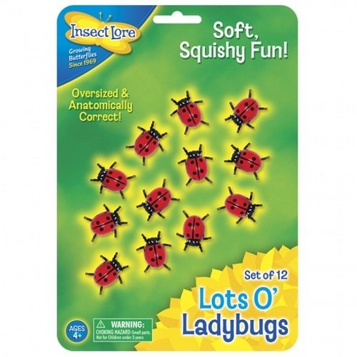 Lots O Ladybugs