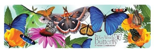 Magnet - Large Butterflies and Flowers
