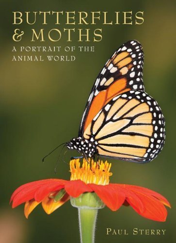 Book - Butterflies and Moths