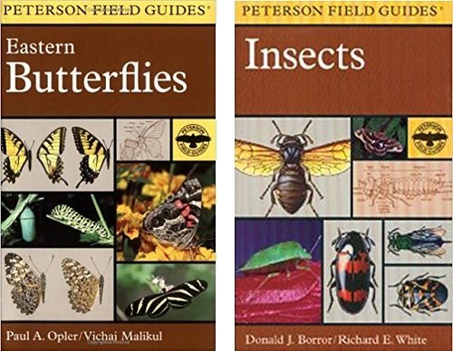 Book - Peterson Field Guide Butterflies or Insect