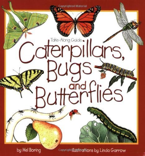 Book - Caterpillars, Bugs and Butterflies