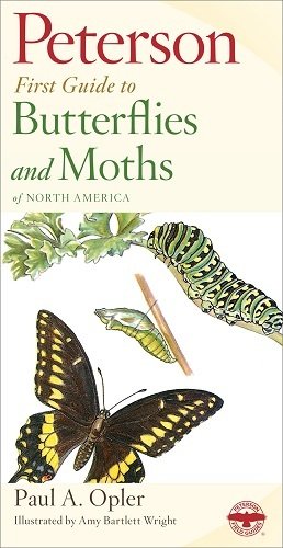 Book - Peterson First Field Guide to Butterflies and Moths