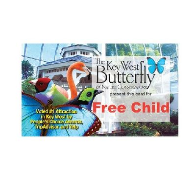 Admission - Free Child (3yrs & under) Admission - Free Child (3yrs & under)