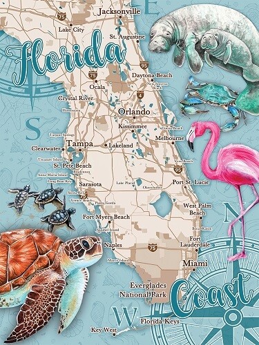 Puzzle - Florida Coast