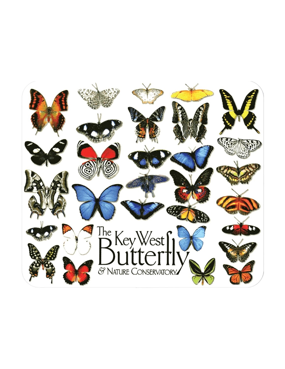 Mousepad - Multi Butterflies
