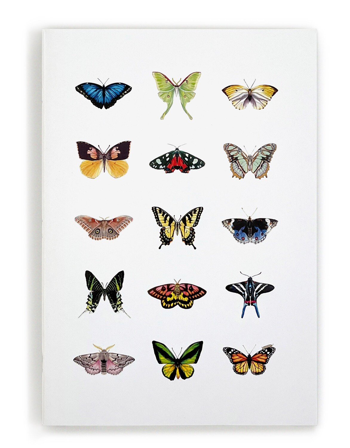 Notebook - Winged Things 2