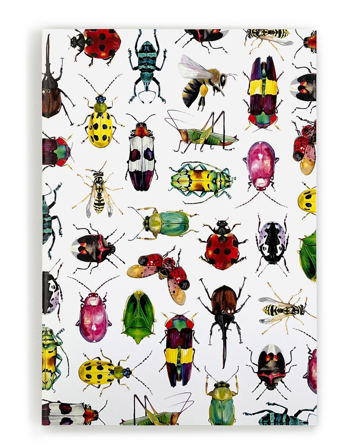 Notebook - Critters 1