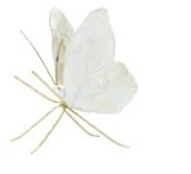 Figurine - Assorted Butterflies, Size: Large Wings