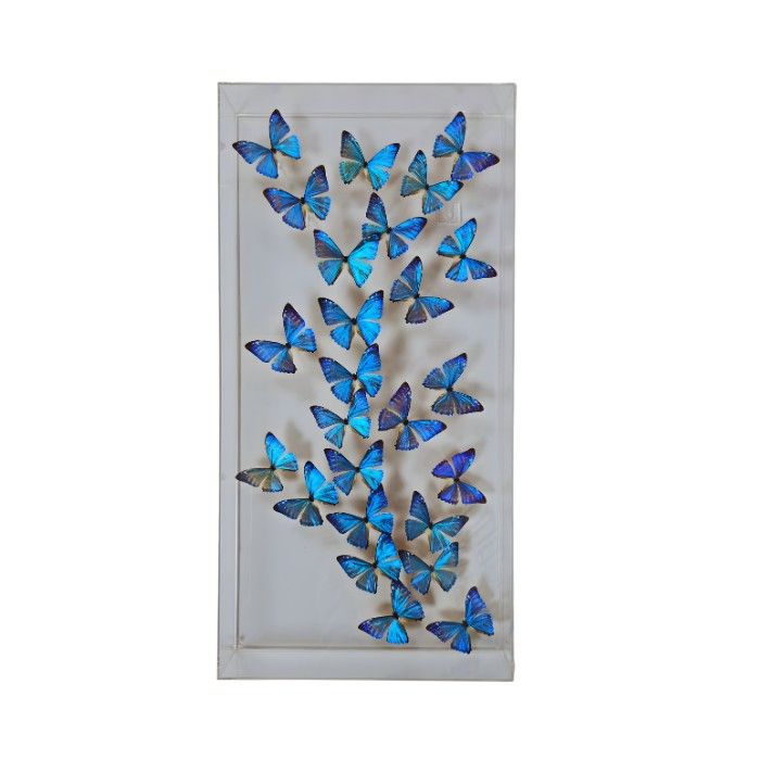 Butterfly Artwork - 15x30 Trail Special Blue