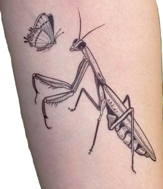 Tattoo- Praying Mantis