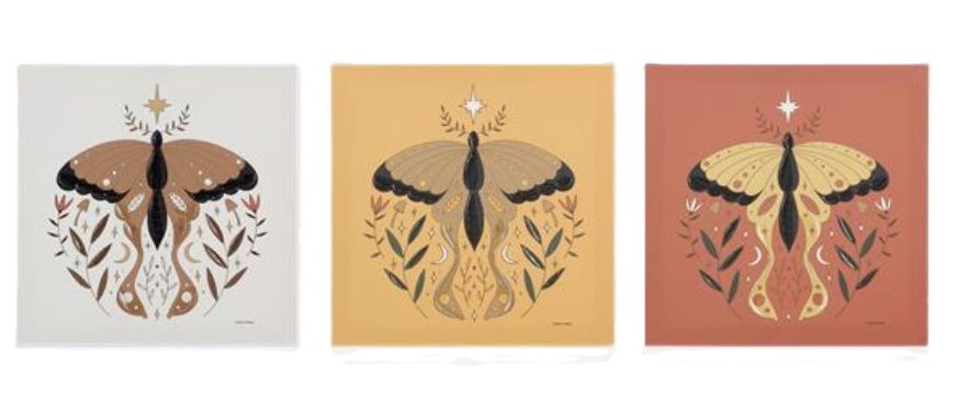 Wall Art - Canvas Wrapped Butterfly