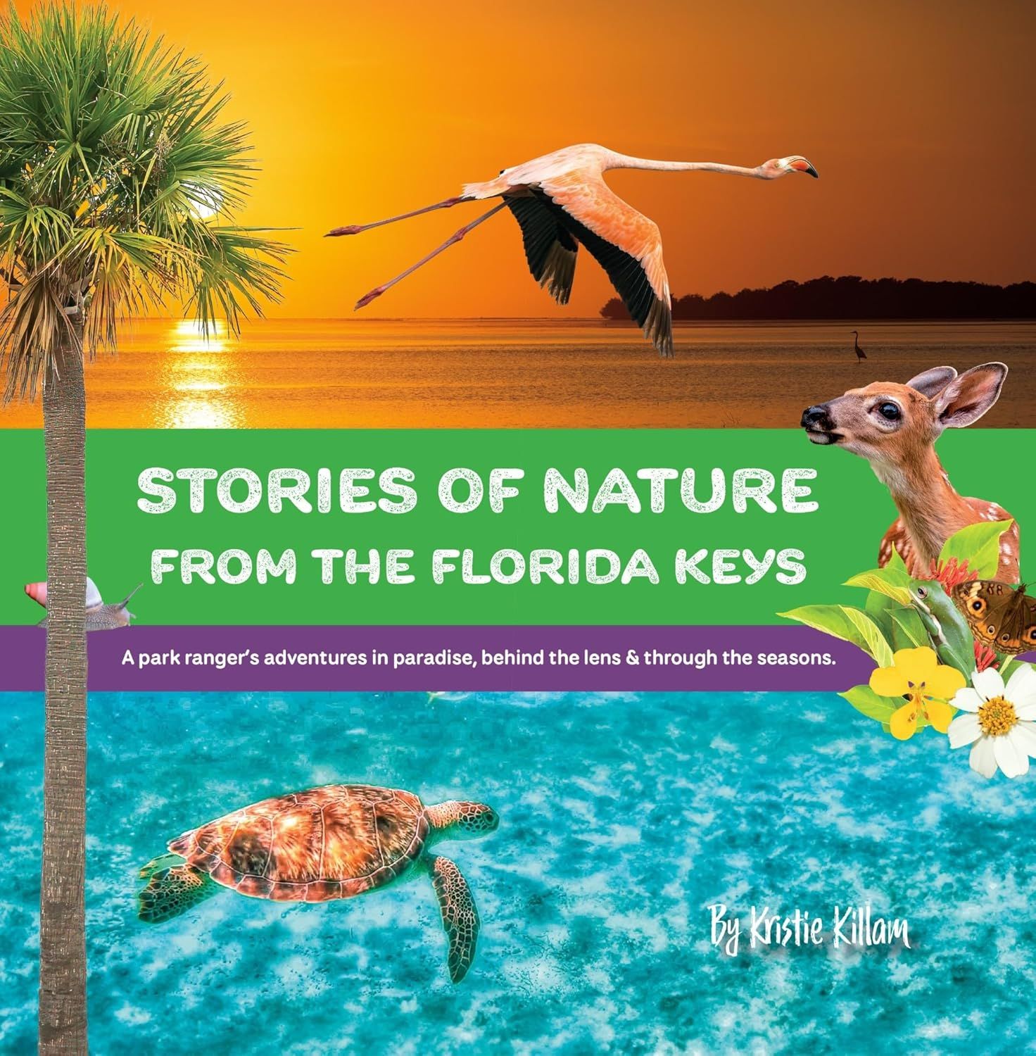 Book - Stories of Nature from the Florida Keys