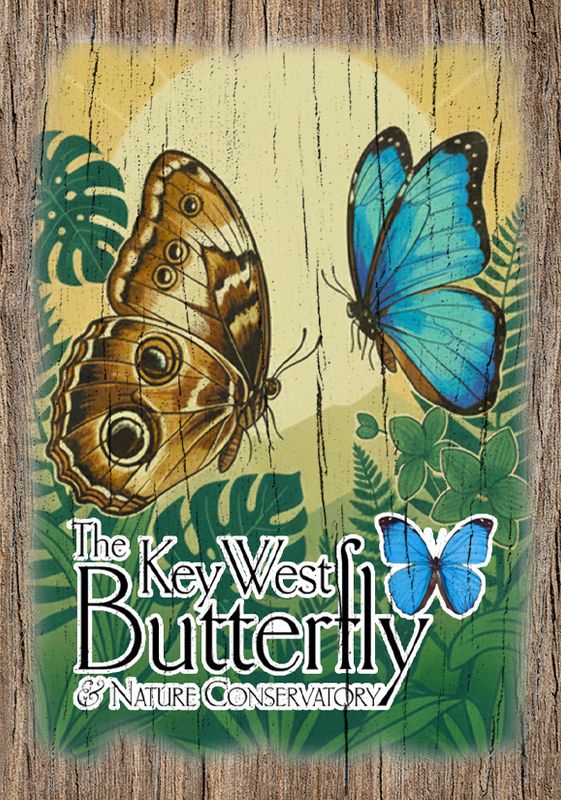Magnet - Key West Butterflies