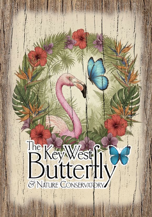 Magnet - Key West Flamingo