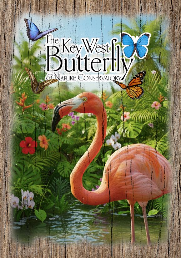 Postcard - Conservatory Flamingo