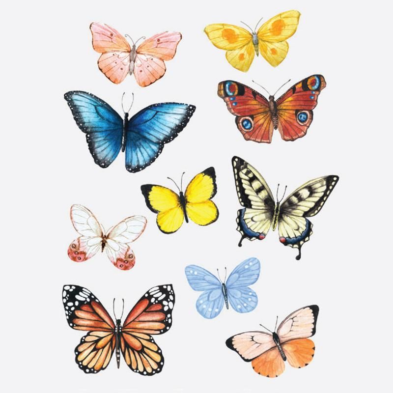 Tattoo - Butterflies