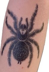 Tattoo - Tarantula