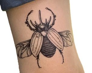 Tattoo - Rhino Beetle
