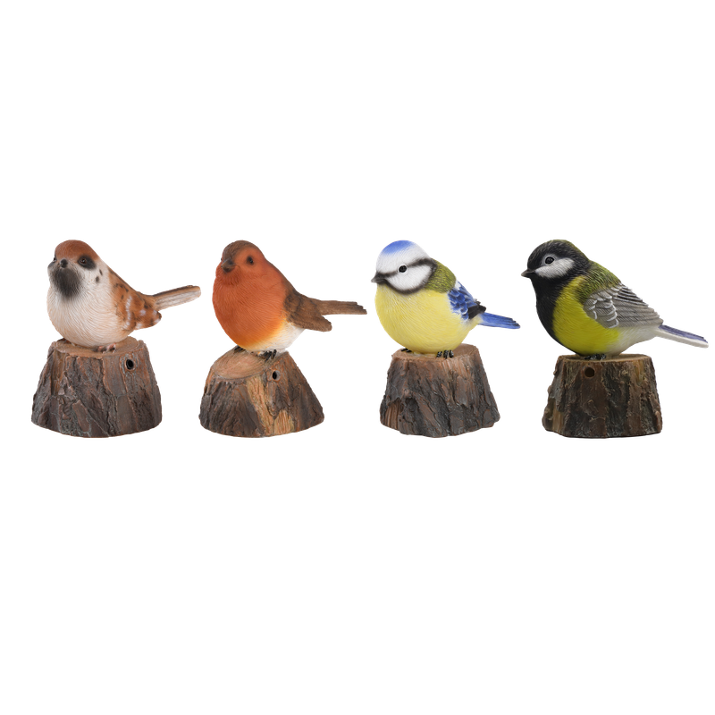 Chirping Welcome Birds Assortment