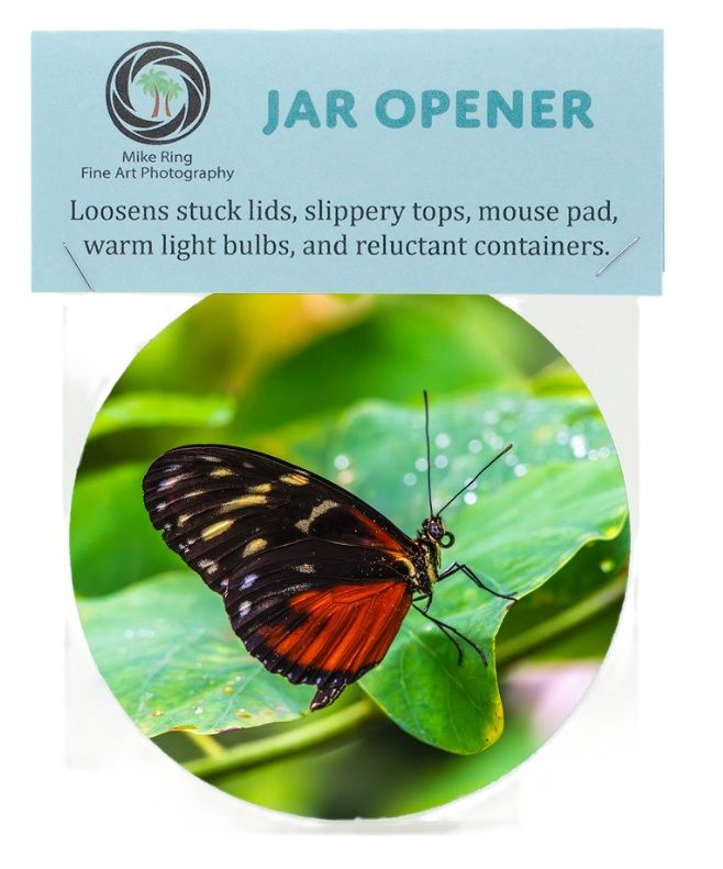 Jar Opener - Cream Spotted Tigerwing Butterfly