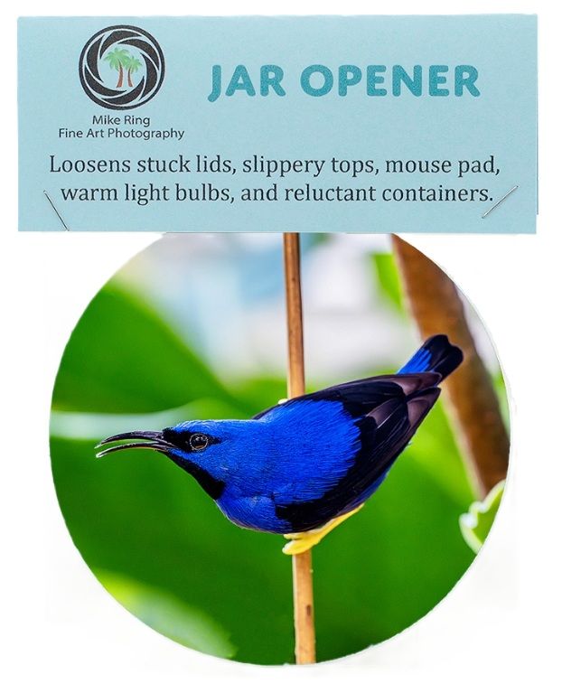 Jar Opener - Yellow-Legged Honey Creeper