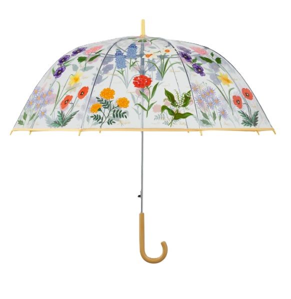 Umbrella - Garden Study