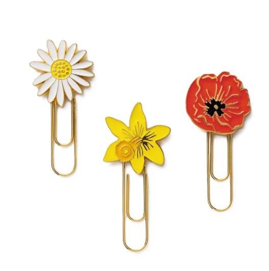 Paper Clips - Garden Study