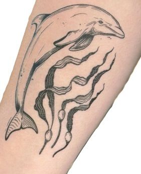 Tattoo - Dolphin