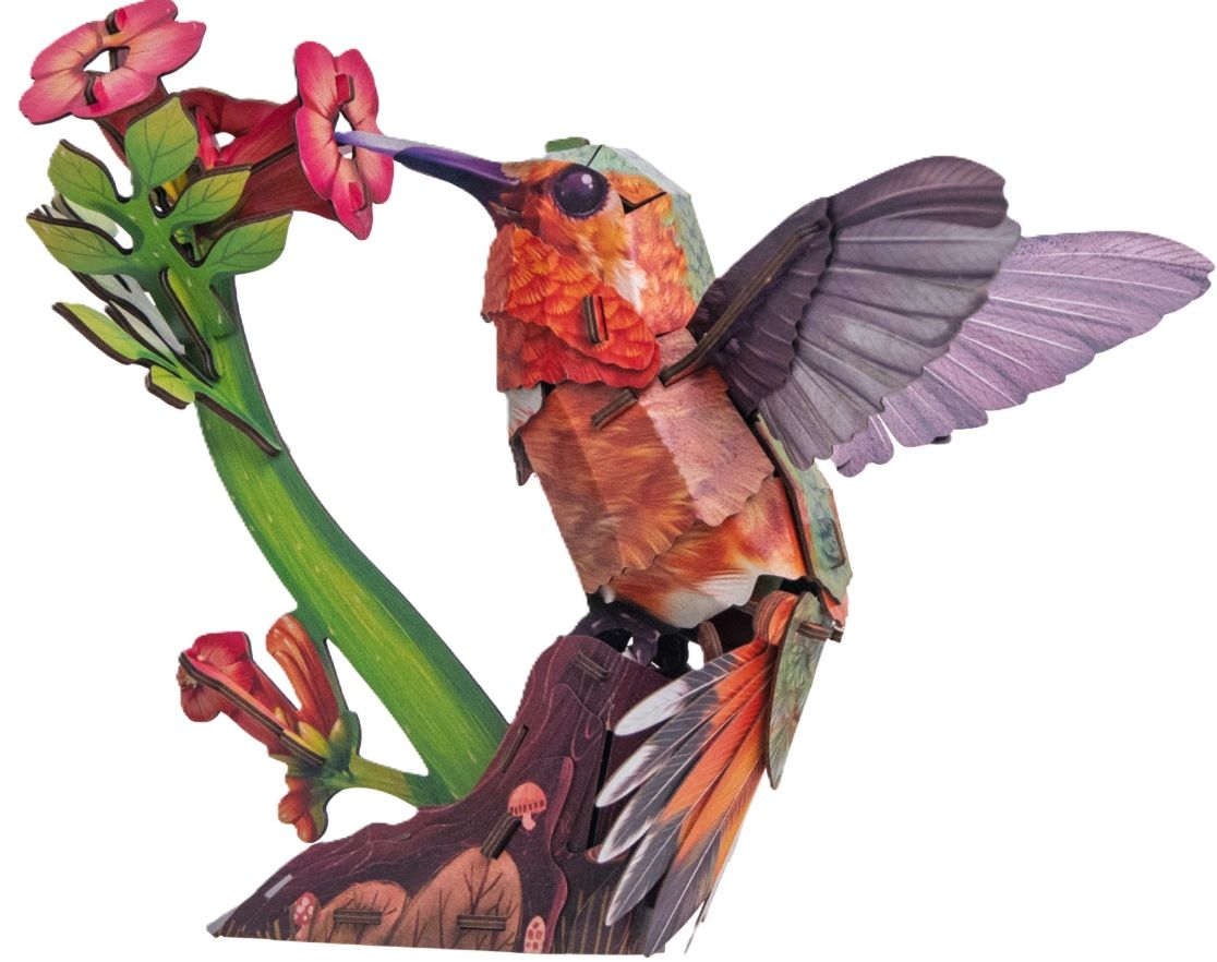 DIY - Sky Echo Hummingbird