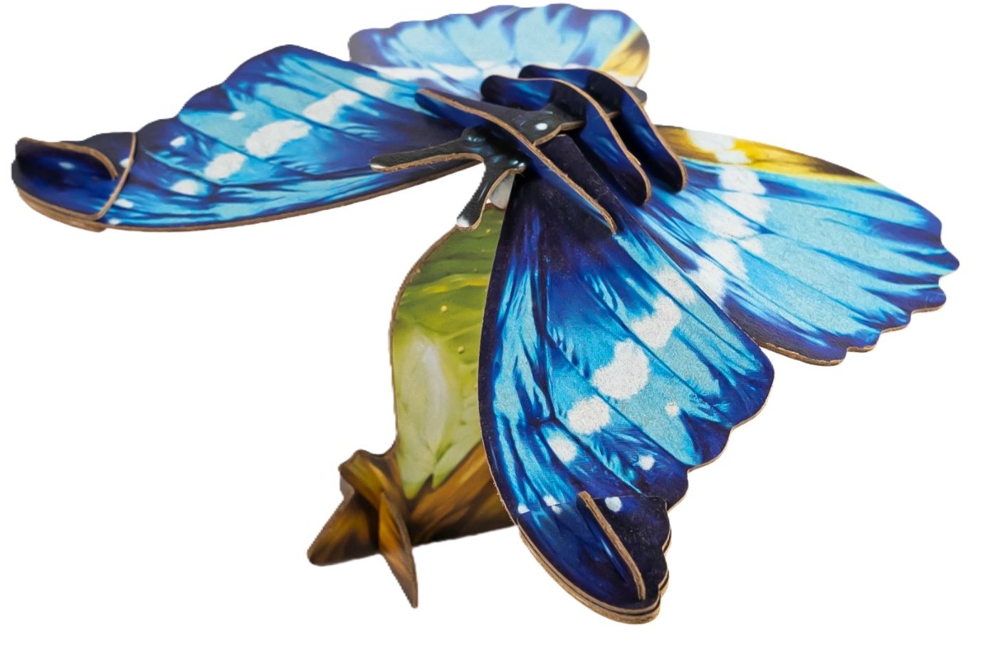 DIY - Helena Morpho Butterfly