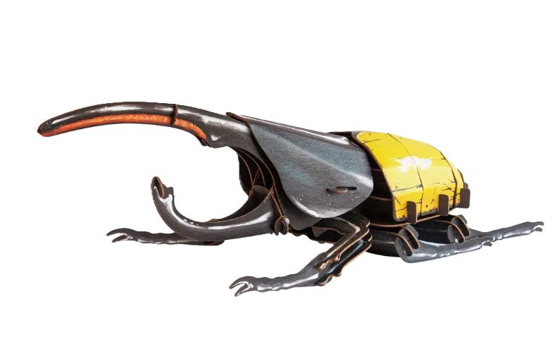 DIY - Hercules Beetle