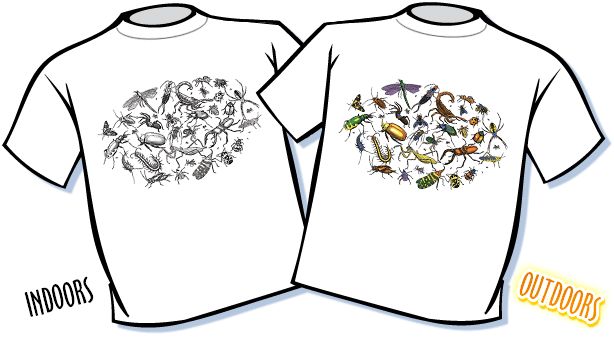T-Shirt - Magic Bugs Youth