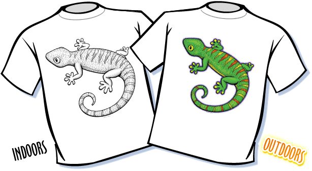 T-Shirt - Magic Big Gecko