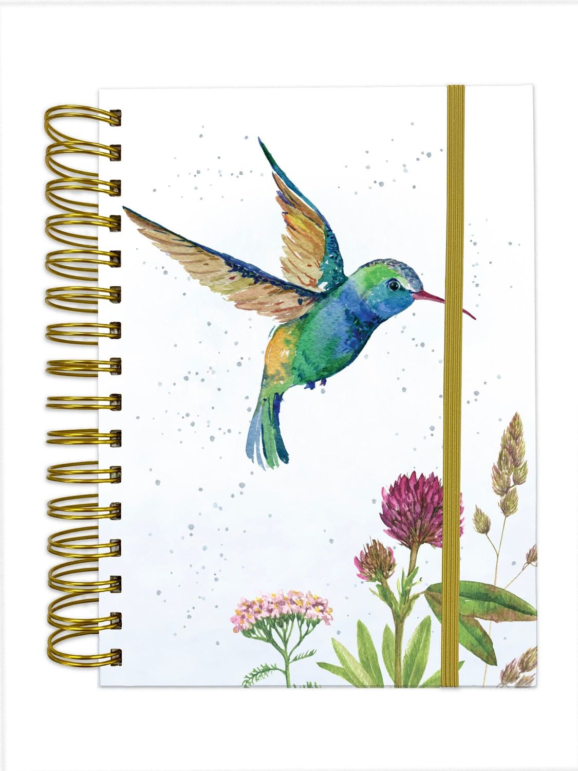 Notebook - Hummingbird Spiral