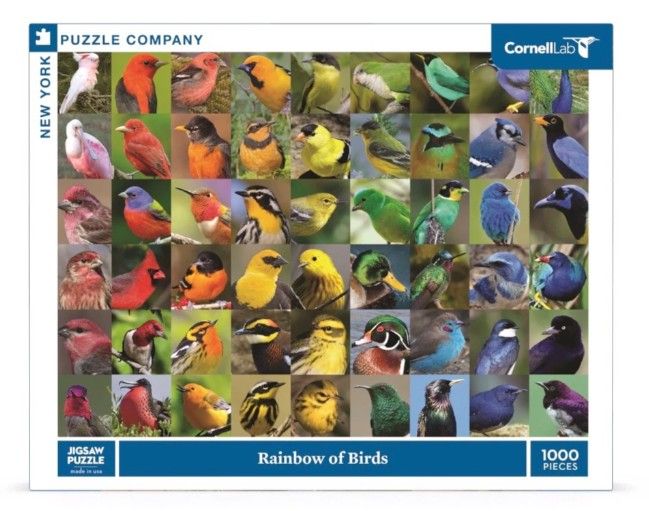 Puzzle - Rainbow of Birds