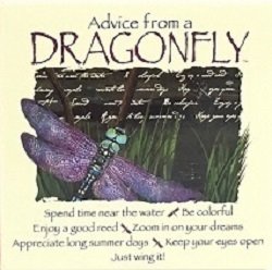 Magnet - Advice, Style: Square Dragonfly