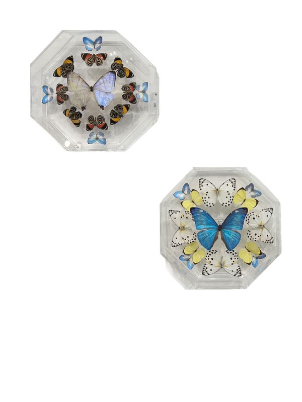 Butterfly Artwork - Octagon w/ 13 Butterflies