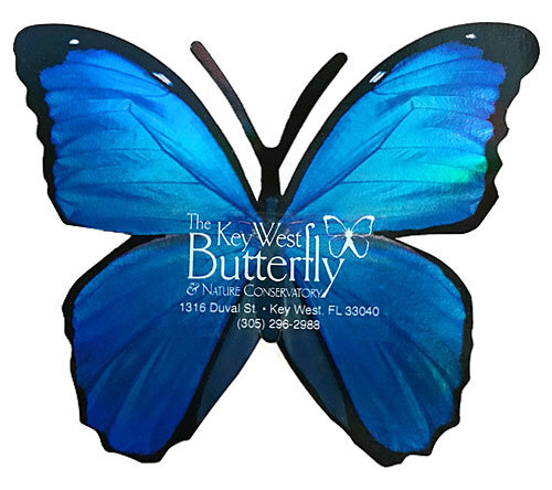 Blue Morpho Sticker