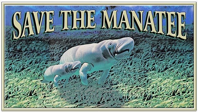 SAVE THE MANATEE * 4'' x 11'' 10539