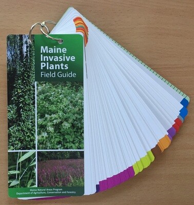 Invasive Plant Guide