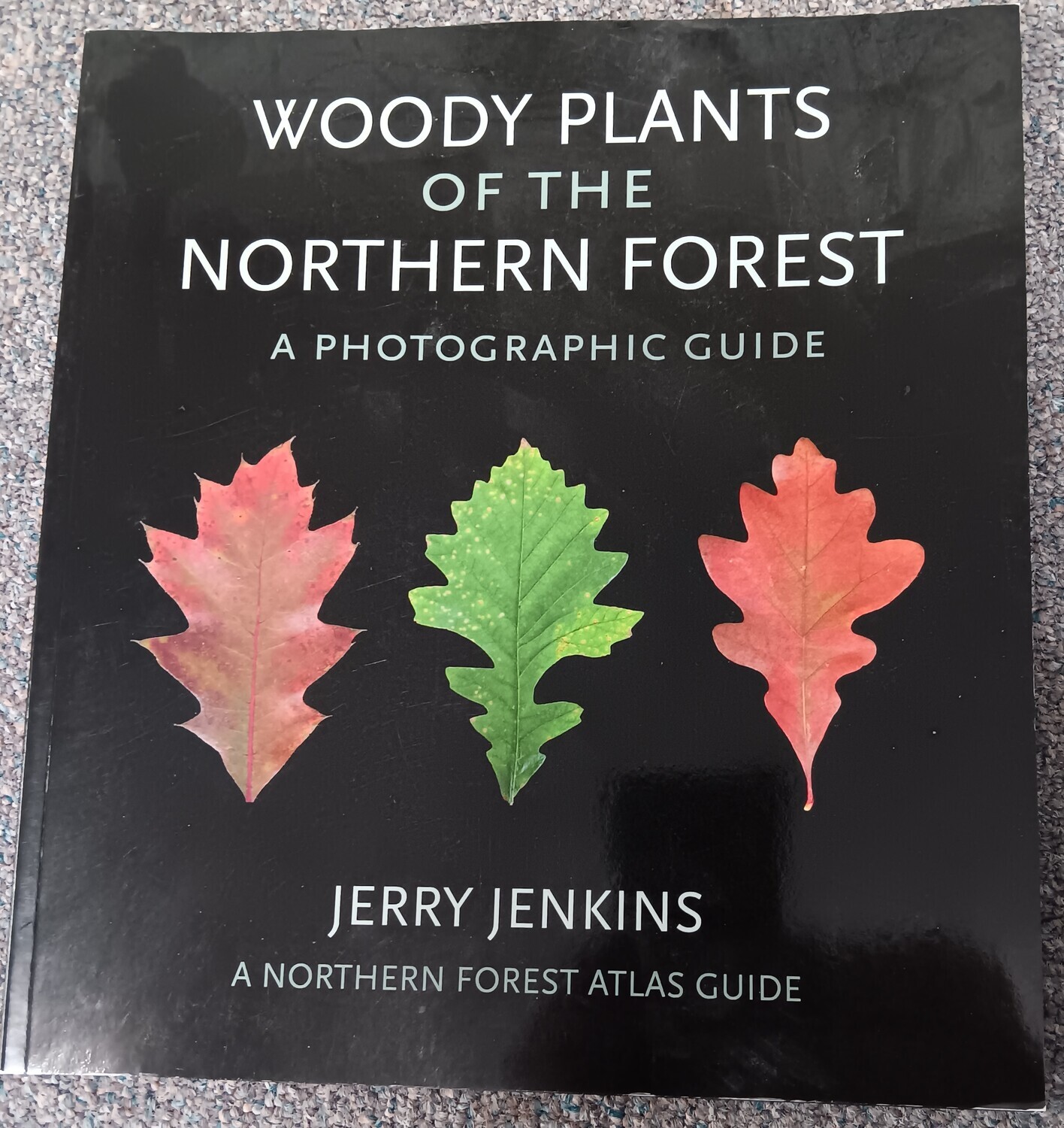 Woody Plants of the Northern Forest: A Photographic Guide, by Jerry Jenkins