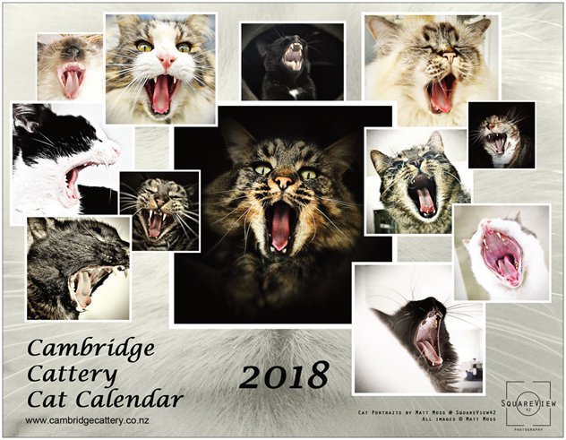 2018 Cambridge Cattery Cat Calendar
