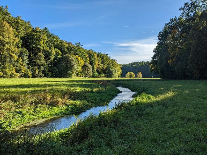 Kinder Kräuterwanderung am 19. April