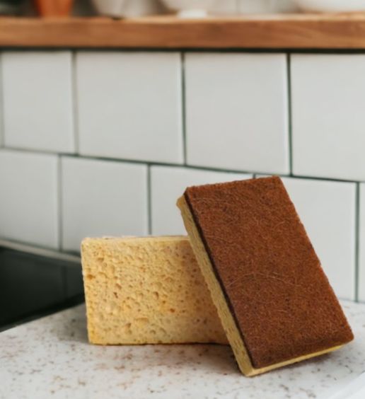 Coconut &amp; Wood Pulp Scrubber Sponge 3pk