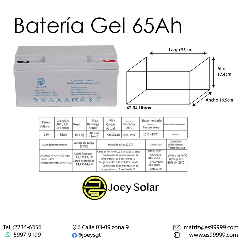 BATERÍA GEL 65AH