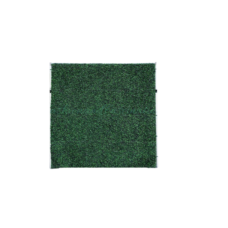8 x 12  Green Wall