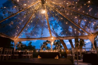 30 x 30 Clear Top Tent