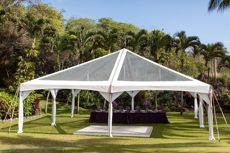 20 x 20 Clear Top Tent