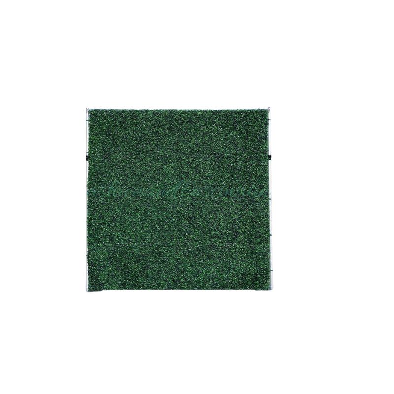 8 x 12  Green Wall