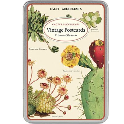 Vintage Postcards